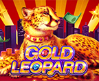 Gold Leopard